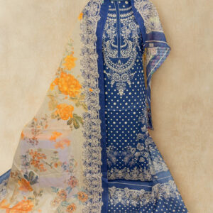 জম জম  পেটেল ভিশন